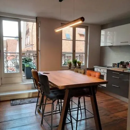 Apartment Plein Centre Avec Vue Exceptionnelle Cathedrale Strasbourg